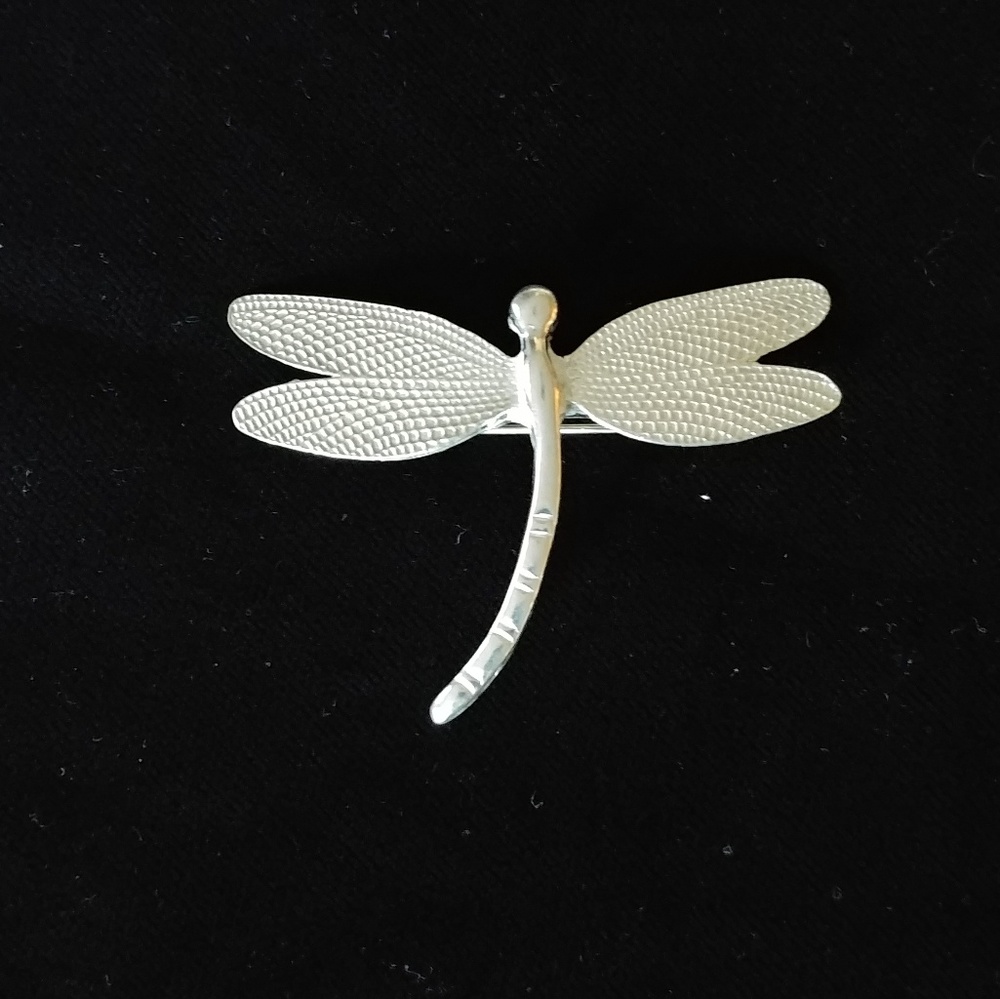 Dragonfly pendant or pin
